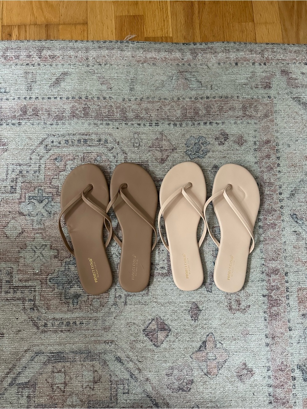 Project Cloud Minimalist Women's Flip Flop Sandals in Brown and Beige